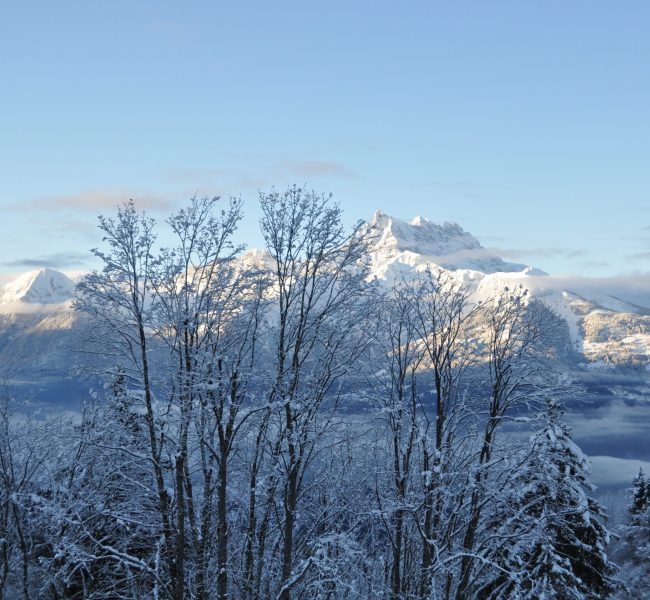 Montagne-scaled Montagne-scaled